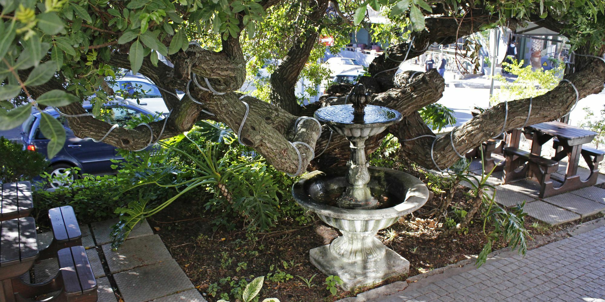Dixon House In De Waterkant By Cape Finest Cape Town Bagian luar foto